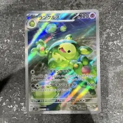 2026年最新】ランクルスARの人気アイテム - メルカリ