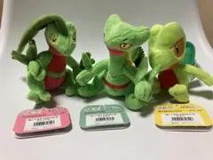 ポケモンfit キモリ ジュプトル ジュカインセット タグあり ポケモン