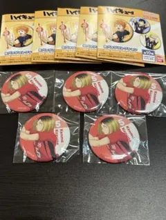 ハイキュー　缶バッジコレクション　缶バッジ　描き下ろしイラスト　狐爪研磨　5個