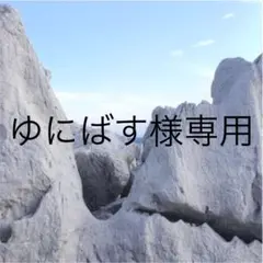 ゆにばす様専用 ハンドメイド