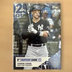 Item thumbnail for item 9a591640-b6a9-435c-8534-edeeb9bf37bd