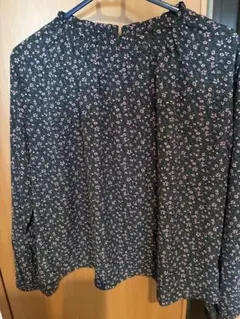 Item thumbnail for item 555416b0-4bea-4ea0-aa97-9894d0fc825d