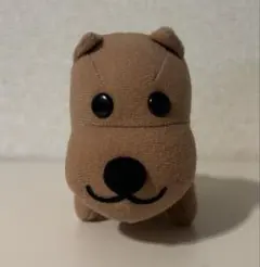 アフロ犬アフロなし