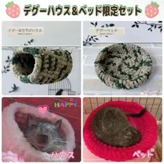 【限定セット販売】デグー吊り下げハウス＆ベッド (ウッドグリーン)のサムネイル