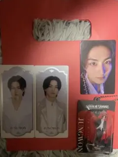 みるこ様専用　JUNGWON 入場トレカ+アクキー