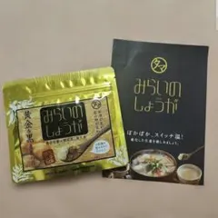みらいのしょうが 70g 生姜 生姜パウダーのサムネイル