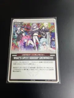 ホロカ　プロモ