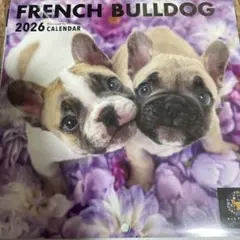 Item thumbnail for item 76070a67-a200-4157-ba0c-980c010ac8dc