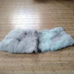 Item thumbnail for item 59096a93-5fcb-4f1c-a6cd-297f9aa3c147