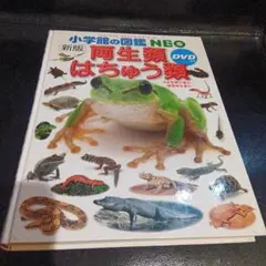 小学校の図鑑 NEO 新版 両生類 はちゅう類 DVD