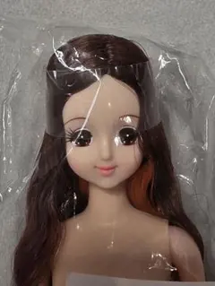 エリカ リカちゃんキャッスル箱ドール ジェニー フレンドおたのしみ