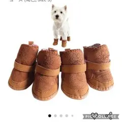 小型犬用ブラウンドッグシューズ