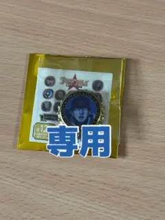 ❄️️様専用 王冠缶バッジ