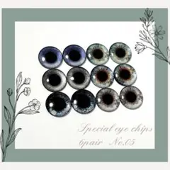 ブライス アイチップ スペシャル6pairセット【No.05】