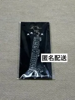 Stray Kids★リノ★アクリルネームキーホルダー★5-STAR ドムツ