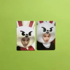 Stray Kids SKZOO トレカ リノ Lee Know