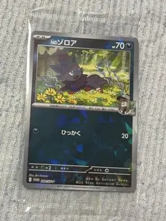 2026年最新】n ゾロア プロモの人気アイテム - メルカリ