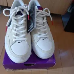 Nike スニーカー HF4085-100 ホワイト　25㌢