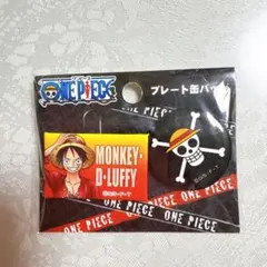 ワンピース onepiece プレート 缶バッジ　2個セット