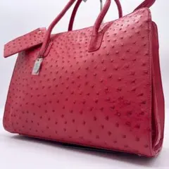 未使用級✨ JRA オーストリッチ トートバッグ 3室 大容量 ダチョウ A4可