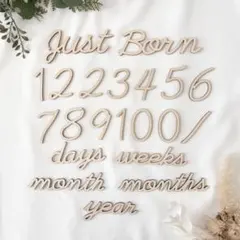 【セット割】木製 レターバナー 月齢フォト 21点セット / Bタイプ