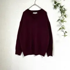 AMERICAN HOLIC Vネックニット ボルドー Fサイズ 洗えるニット