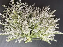 YUKI様 リクエスト 2点 まとめ商品