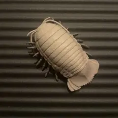 Item thumbnail for item 48516185-e250-4c64-a644-8c92359d54fb