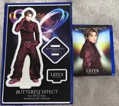 瀬口黎弥　FANTASTICS フォトカード アクリルスタンド セット