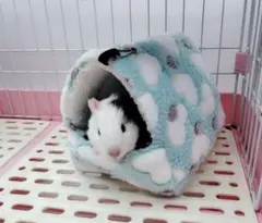 Item thumbnail for item ac0f59de-3755-4c76-a89f-b5e057789324