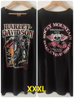 【あすか様専用！】【ハーレーダビッドソン】 オーバーサイズアメカジ　半袖　古着