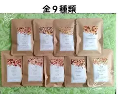 Item thumbnail for item e8cbc379-9a4a-4e55-9a77-eea067a7cff9