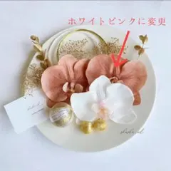 Item thumbnail for item 1b2d652d-8c06-415b-97dd-0060157d3c9d