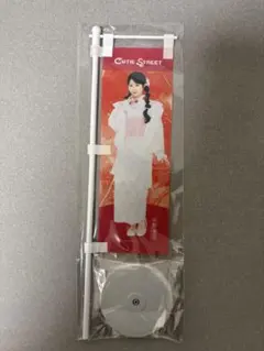 Item thumbnail for item 834cfd95-e5b1-433f-9ce0-de14c1a0b7d5