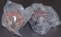 モンハン ワイルズ 一番くじ C賞 護竜リオレウス リオレウス 2種セット