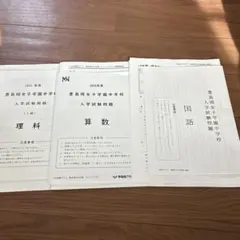 NN桜蔭算数そっくり①②③+a+ b 9セット NNN桜蔭算数そっくりテスト 13-14-15 ＋a+b - メルカリ