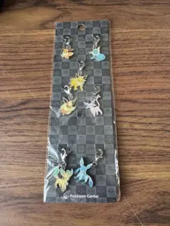 ポケモン　全国ずかんメタルチャーム　ブイズ