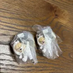 スキズ SKZOO つまんでつなげてますこっとvol.2 フォクシニー