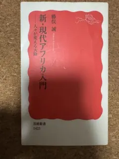 新・現代アフリカ入門 岩波新書 1423