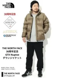 Item thumbnail for item 6a1d4de2-916e-4197-b30d-4c94ca8da967