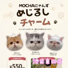 [별매] 캣 카페 모카 메지루시 참 이케부쿠로 동쪽 출구