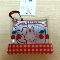 ミッフィー 　クリアマルチケース
