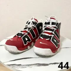 AIR MORE UPTEMPO'96 27.5㎝