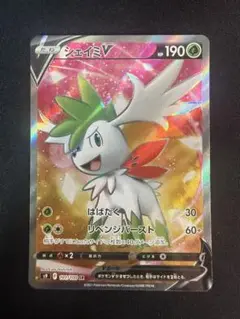 【貴重】　2011年　シェイミ SR シェイミ SRの値段と価格推移は？｜11件の売買データから