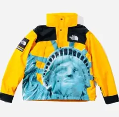 Supreme The North Face マウンテンパーカー 自由の女神 L