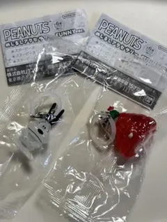 PEANUTS めじるしアクセサリー FUNNYver.