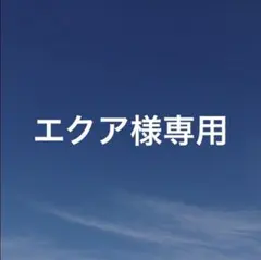 エクア様 リクエスト 3点 まとめ商品