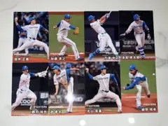 プロ野球チップス　2026 第一弾　第二弾　日本ハムファイターズ