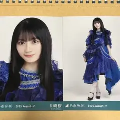 2025年最新】川﨑桜 サインの人気アイテム - メルカリ