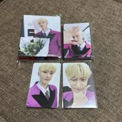 SEVENTEEN CARAT盤 ドギョム　バインダー　トレカ